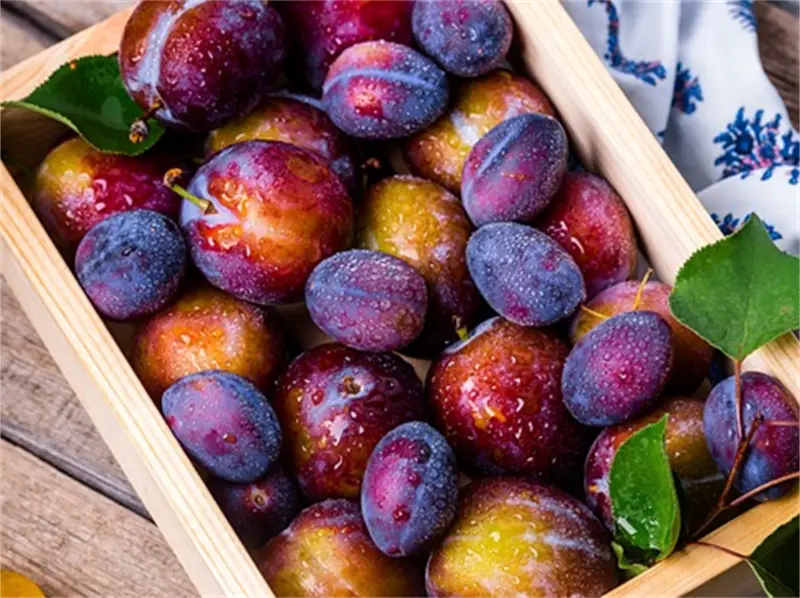 Agricultural Grade Potassium Nitrate02eav